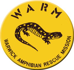 Warwick Amphibian Rescue Mission | WARM Network Logo